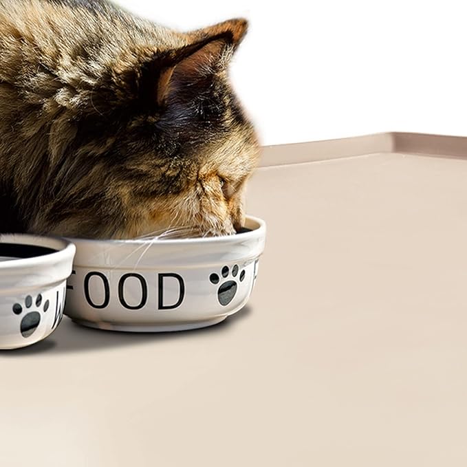 Dog Food Mat,Silicone Waterproof Food Tray,Non Slip Pet Bowl Mats Placemat,0.6" Raised Edge,Suitable for Most Small and Medium Sized Pets,18.5" x 11.5"