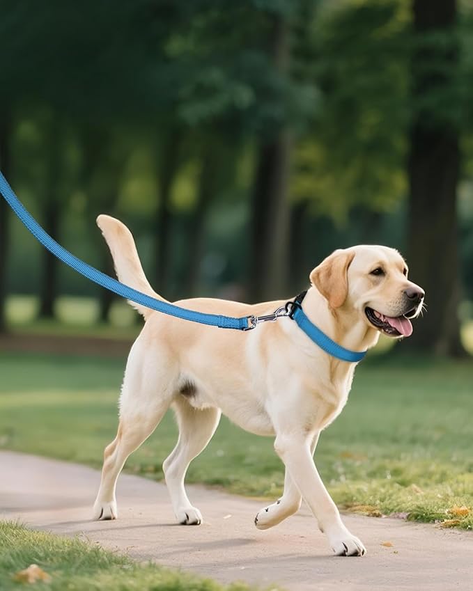 Joytale Large Dog Collar, Reflective and Adjustable Nylon Pet Collar with Quick-Release Buckle for Large Dogs, Sky Blue, L