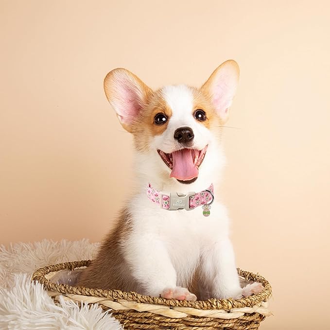 Easter Dog Collar for Large Dogs - Cowgirl Chick Easter Collars for Dogs, Pink Girl Dog Collar, Adjustable Spring Holiday Pet Collars with Quick Release Buckle XL