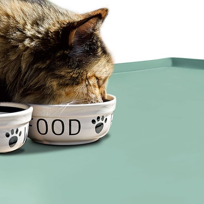 Dog Food Mat,Silicone Waterproof Food Tray,Non Slip Pet Bowl Mats Placemat,0.6" Raised Edge,Suitable for Most Small and Medium Sized Pets,18.5" x 11.5"