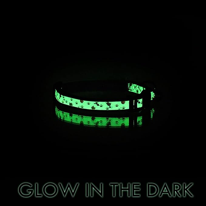 Pawtitas Glow in The Dark Cat Collar with Breakaway Safety Buckle & Bell Adjustable Kitten Collar, Blue