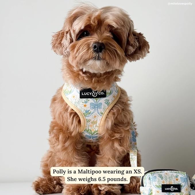 Lucy & Co. Sunshine and Daffodils Reversible Dog Harness, Adjustable Comfort Fit with Dual Leash Attachments, Large
