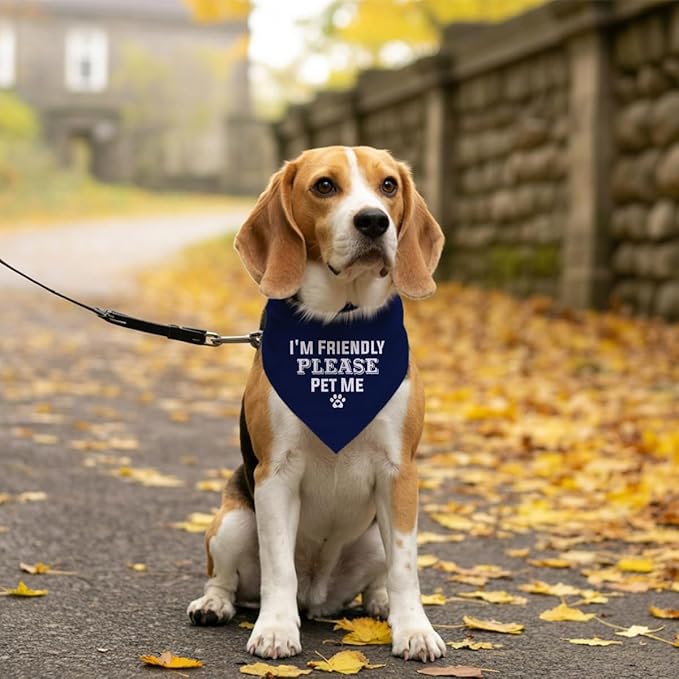 I'm Friendly Please Pet Me Dog Bandana, Dark Blue Dog Bandana, Funny Cute Pet Triangle Scarf Accessories, Dogs Bandanas for Small Medium Large Dogs (D51)