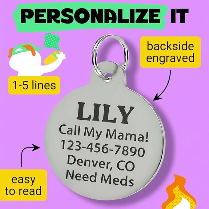 Bad Tags Personalized Dog and Cat ID Tags in 25+ Designs and 2 Sizes - 5 Lines of Custom Engraved Text - Funny Cute Personalized Pet Tags (Invader of Personal Space - Pink, Large (1.25 inch))