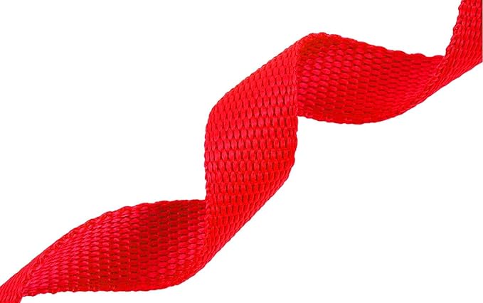 AMAGOOD Dog/Puppy Obedience Recall Training Agility Lead-15 ft 20 ft 30 ft 50 ft Long Leash-for Dog Training,Tie Out,Play,Safety,Camping (15Feet x 1Inch, Red)