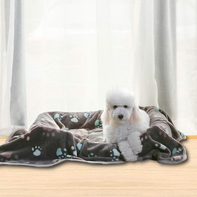 Allisandro 350 GSM-Super Soft and Premium Flannel Fleece Pet Dog Blanket, The Cute Print Design Washable Fluffy Blanket for Extra Large Puppy Cat Kitten Indoor or Outdoor, Grey, 80 x 64 Inches