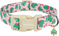 St. Patrick's Day Dog Collar,Pink Bow with Lucky Shamrock Puppy Collar,Adjustable Spring Cotton Collars Gifts for Small Medium Large Dogs,Dog Accessories L