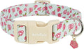 Dog Collar for Extra Small Dogs, Spring &Summer Theme Blue Small Dog Collars with Pink Rose Pattern, Adjustable Puppy Dog Collars, Cute Girl or Boy Dog Collar Ideal for Gifts,Pet Accessory