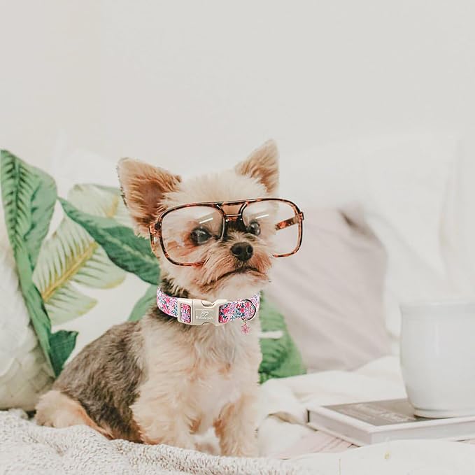 Floral Dog Collar, Cute Girl Dog Collars - Pastel Wildflowers Pattern Spring Summer Puppy Collar, Adjustable Female Dog Collars for Small Medium Large Dogs M