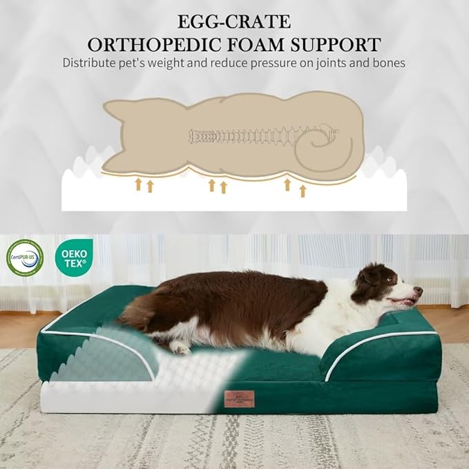 Comfort Expression Orthopedic Dog Bed for Extra Large Dogs 42x30 Inch, Waterproof Supportive Egg Crate Foam XL Pet Bed with Removable Bolsters, Dog Couch with Washable Cover & Non-Slip Bottom, Emerald