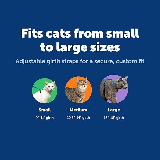 PetSafe Come With Me Kitty Cat Harness & Bungee Leash - Comfortable Cat Harness with Lightweight Bungee Leash for Outdoor Fun - More Secure Walks - Small - Lilac