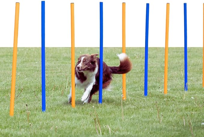 Trixie Dog Agility Slalom Course - 12 Adjustable Weave Poles Backyard Set - Portable Training Equipment with Carrying Bag & Training Guide - for All Breeds