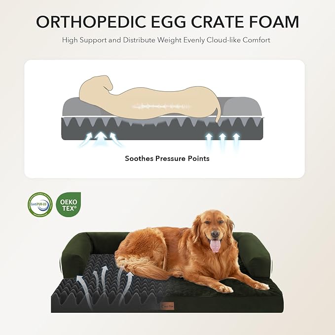 Orthopedic Dog Beds for Extra Large Dogs, Waterproof Egg Crate Foam XL Dog Bed with Sides 45x35Inch, Big Dogs Couch Beds with Removable Washable Cover and Nonskid Bottom, Olive Green