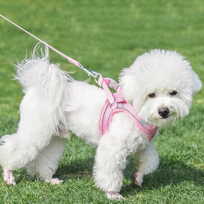 AIITLE Small Harness for Puppy with A Leash - Dog Vest Harness with Super Breathable Mesh, Reflective No-Pull Pet Harness for Outdoor Walking, Running for Small Dogs, Cats Pure Pink XXS