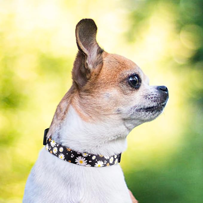 QQPETS Adjustable Soft Dog Collar: Print Flower Pink Multicolor Cute Patterns for XS Small Medium Large Pet Girl Boy Puppy Walking Running Training (XS, White Daisy)