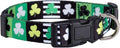 Native Pup St Patricks Dog Collar- Saint Patrick Green Shamrock Pet Collars- St. Patrick’s Lucky Irish- Cute Boy Girl Puppy Gift- Adjustable for Small, Medium, Large Breeds (Patterned Shamrock, Large)