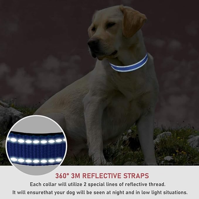 Reflective Dog Collar with Buckle Adjustable Safety Nylon Collars for Small Medium Large Dogs, Navy Blue XS