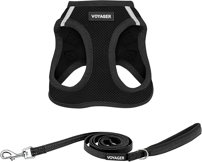 Best Pet Supplies Voyager Step-in Air All Weather Mesh Harness and Reflective Dog 5 ft Leash Combo with Neoprene Handle, for Small, Medium and Large Breed Puppies - Harness Leash Set (Black), XXS