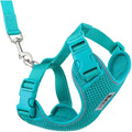 RC Pets Adventure Kitty Harness Includes Adjustable, Airmesh Fabric, 6' Leash and D-Ring Cat Walking Harness | Teal, Medium