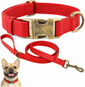Silicone Dog Collar and Leash Set, Waterproof & Odor-Proof Puppy Collar for Small Dogs, Soft Flexible Leather-Look Dog Collars, Durable Thick Adjustable Pet Collar (Red, Large (14.5-24" Neck))