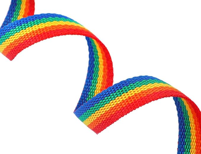 AmaGood Dog/Puppy Obedience Recall Training Agility Lead-15 ft 20 ft 30 ft 50 ft Long Leash-for Dog Training,Recall,Play,Safety,Camping (20feet, Rainbow)