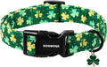 DOGWONG St Patrick's Day Dog Collar-Cute Green Clovers Dog Collars, Adjustable Shamrock Pet Collars Trefoil Puppy Collars with Quick Release Buckle for Girl&Boy Dogs,XS