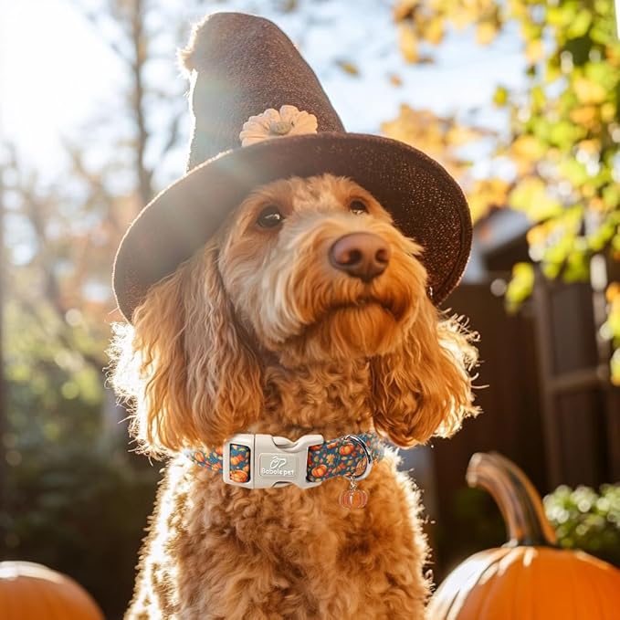 Fall Dog Collar Cute Autumn Pumpkin Puppy Collar - Light Comfortable Adjustable Pet Collars for Small Medium Large Girl Boy Dogs S