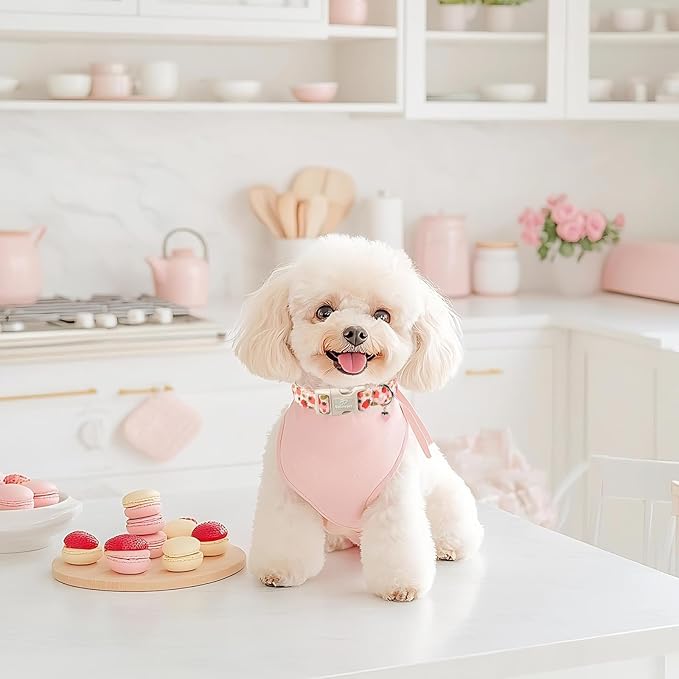 Strawberry Dog Collar for Small Dogs - Cute Spring Pink Dog Collars, Summer Pastel Puppy Collars, Soft Adjustable Boy Girl Dogs Collar with Quick-Release Buckle S