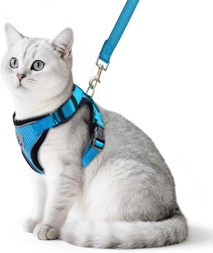 PUPTECK Cat Harness and Leash Set Escape Proof Reflective Cat Walking Harness Adjustable Soft Breathable Mesh Vest for Small Pets, Blue, L
