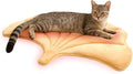 KOOLTAIL Self Warming Cat Bed Mat for Indoor Cats Dogs, Reversible Cozy Pet Heated Pad Blanket with Thermal Foil, Thicken Cat Window Perch, Puppy Kitten House for Crate Desk Floor Outdoor, Gingko Leaf