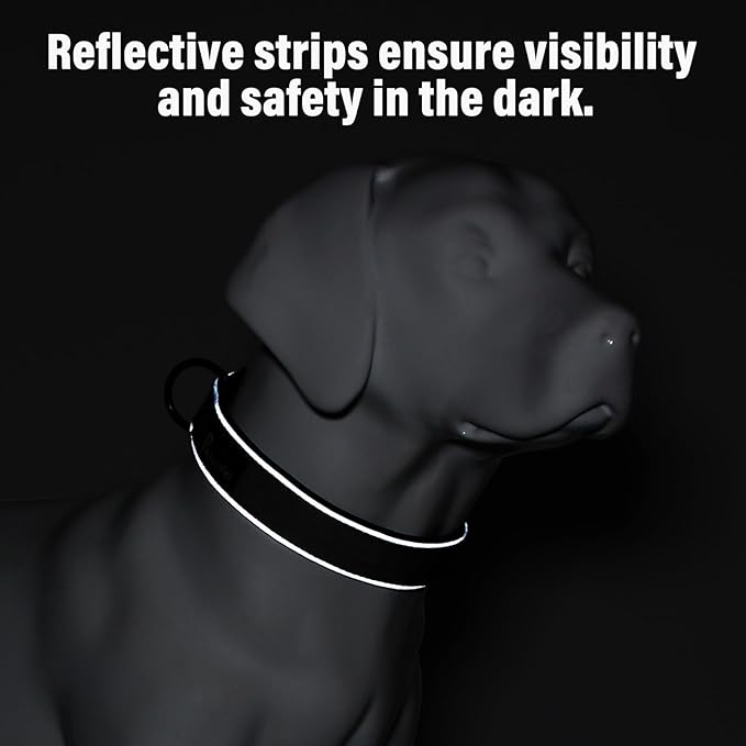 Plutus Pet Tactical Dog Collar, Reflective, Adjustable Heavy Duty Dog Collar, Soft Padded and Comfortable, for Small Medium and Large Dogs (Teal, L)