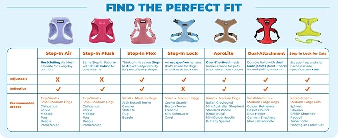 Voyager Escape-Proof Step-in Lock Cat Harness & 5ft Neoprene-Handle Leash Set All-Weather Mesh with Reflective Stitching for Small to Large Cats by Best Pet Supplies, Baby Blue (327), XS