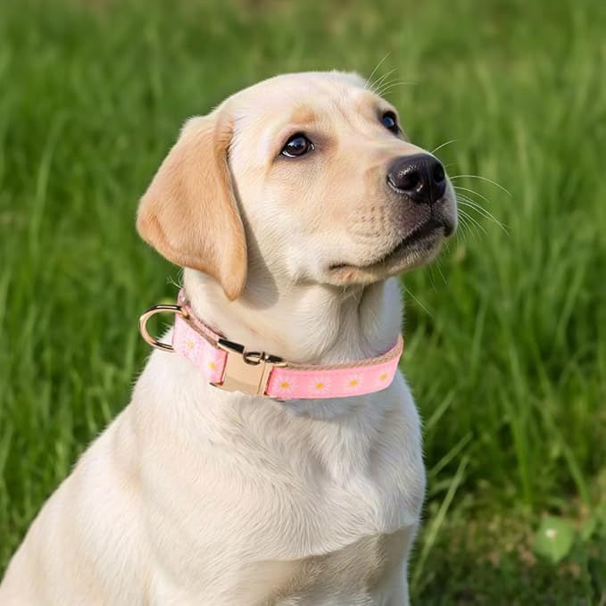 Woven Dog Collar with Metal Buckle Adjustable Jacquard Retro Dog Collars for Small Medium Large Dogs(Pink Daisy,S)