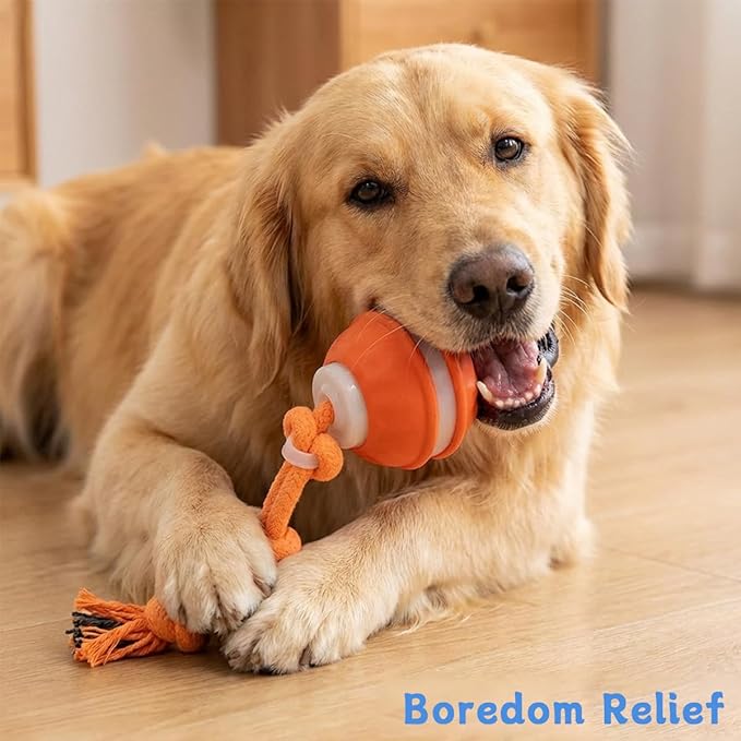 Zealburst Interactive Dog Toy Ball, 2026 Upgraded Motion Activated Rolling Ball with Squeaky Sounds, 360° Smart Automatic Moving Toy for Bored Cats & Dogs, Indoor & Outdoor Pet Exercise Toy (Orange)