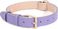 WHIPPY Leather Dog Collar for Small Medium Large Dog Adjustable Soft Breathable Leather Padded Puppy Collar with Alloy Buckle Heavy Duty Waterproof Classic Dog Pet Collar,Purple,XS