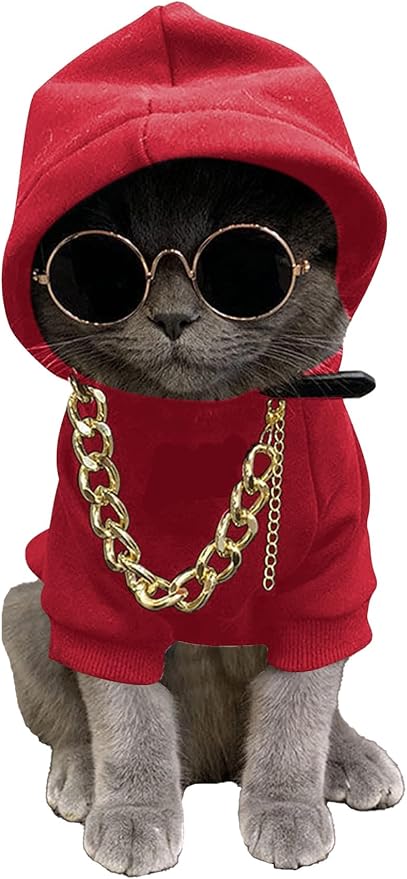 QWINEE 3Pcs Dog Hoodie Cat Apparel Dog Custume Set with Necklace and Sunglasses Pet Clothes for Puppy Small Medium Dogs Cats Red S