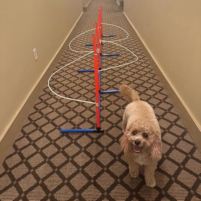 Dog Agility Weave Pole Guides – Training Aids for Fast, Accurate Weaving | Easy Snap-On PVC Guide Wires for Dog Agility Competition & Practice, 66″ Long Guides, Set of 4
