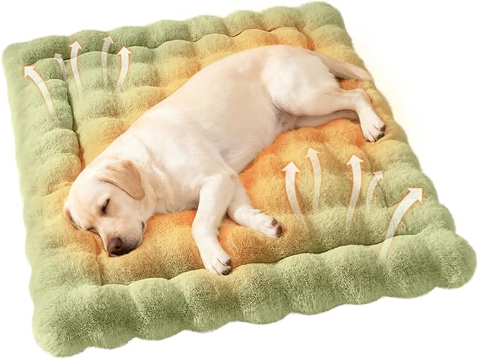 Self-Warming Dog Bed, Plush Faux Fur Mat with Anti-Slip Bottom, Ultra Soft Heated Pet Bed for Medium Large Dogs, Cozy Fluffy Pad for Carriers Couch Crate, Machine Washable, 35 x 27 Inch Green