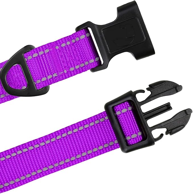 TagME Reflective Nylon Dog Collars, Adjustable Classic Pet Collar with Quick Release Buckle for Small Dogs, 3/4" Width Purple