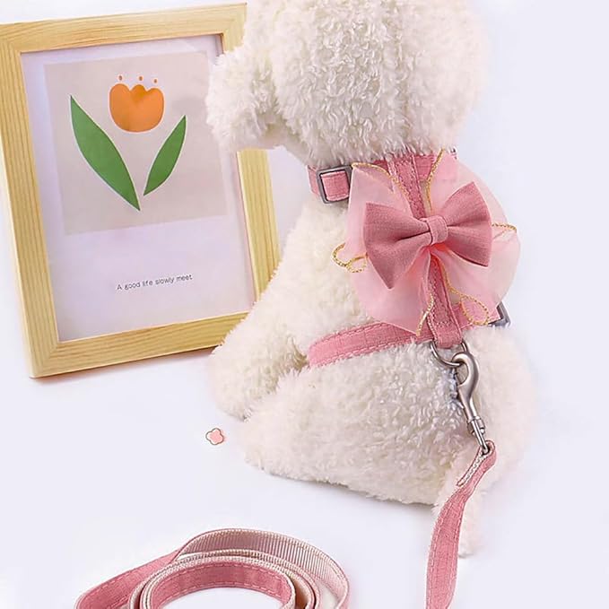 Adjustable Cat Harness with Leash and Bow-Tie, for Small to Medium Cats, Pink (Pink, S)