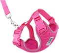 RC Pets Adventure Kitty Harness Includes Adjustable, Airmesh Fabric, 6' Leash and D-Ring Cat Walking Harness | Raspberry, Medium