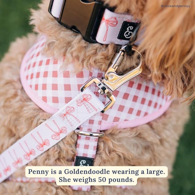 Lucy & Co. Ballet Bows Dog Collar - Durable Lightweight Designer Collar for Pets - Adjustable Metal Safety Buckle - White & Pink Bows - Large