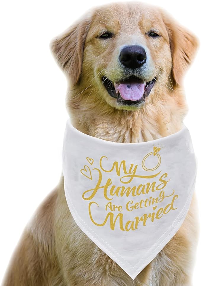 Engagement Gift, My Humans are Getting Married Dog Bandana, Wedding Photo Prop, Pet Scarf, Dog Engagement Announcement, Pet Accessories (Gold)