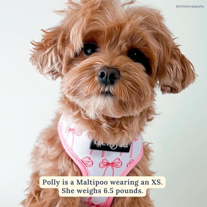 Lucy & Co. Cute Reversible Dog Harness Walking Halter - Best Designer Pet Harnesses for XS - XL Dogs - Padded Adjustable Vest for Easy Walking (X-Small, Ballet Bows - White & Pink Bows)
