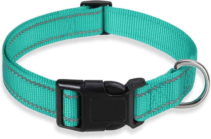 Reflective Dog Collar with Buckle Adjustable Safety Nylon Collars for Small Medium Large Dogs, Green S
