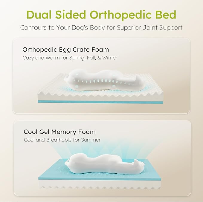 XXL Dog Bed for Extra Large Dogs, Giant Orthopedic Dog Bed with Cooling Gel Memory Foam, Waterproof Pet Bed with Removable Washable Cover, 53" Pet Sofa bed Dutch Velvet with Bone Toy, Light Gray