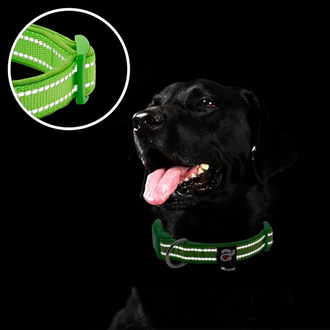 azuza Reflective Dog Collar, Soft Neoprene Padded Pet Collar with ID Tag Ring, Adjustable for Large Dogs,Green,L