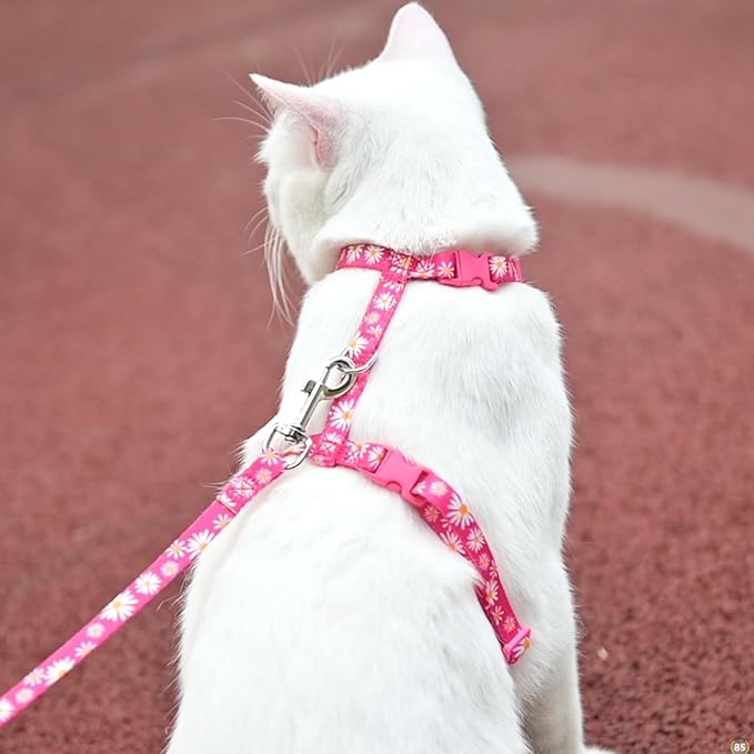 KOOLTAIL Cat Harness and Leash Set, Escape Proof Adjustable Kitten Harness for Walking Travel, Safe & Easy Control Outdoor, Lightweight Soft Pet Harness for Small Medium Large Cats, Daisy Rose
