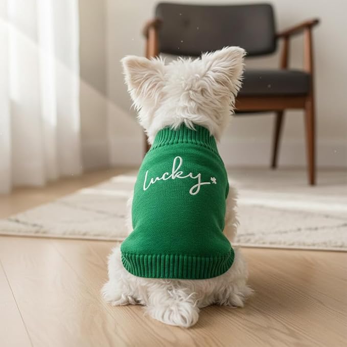 Personalized Dog Sweater, Custom Knit Sweater with Clover Embroidery, St. Patrick's Day Design for Dogs, Ideal Gift for Dog Owners, Pet Apparel Gift#2