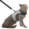 PUPTECK Soft Mesh Cat Vest Harness and Leash Set Puppy Padded Pet Harnesses Escape Proof for Cats Small Dogs